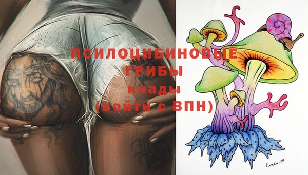 дживик Белоозёрский