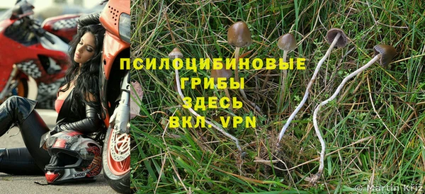 кокаин премиум Белокуриха