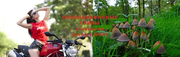 дурь Беломорск