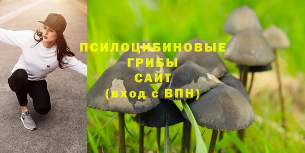 дурь Беломорск
