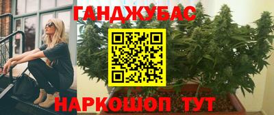 стафф Новокубанск