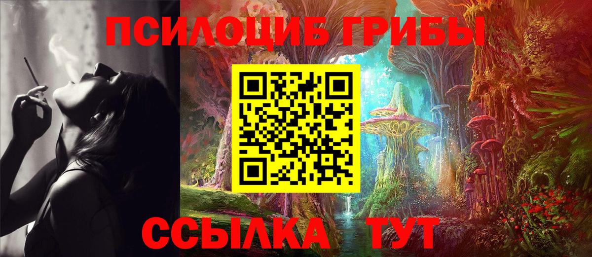 Галлюциногенные грибы Cubensis Видное