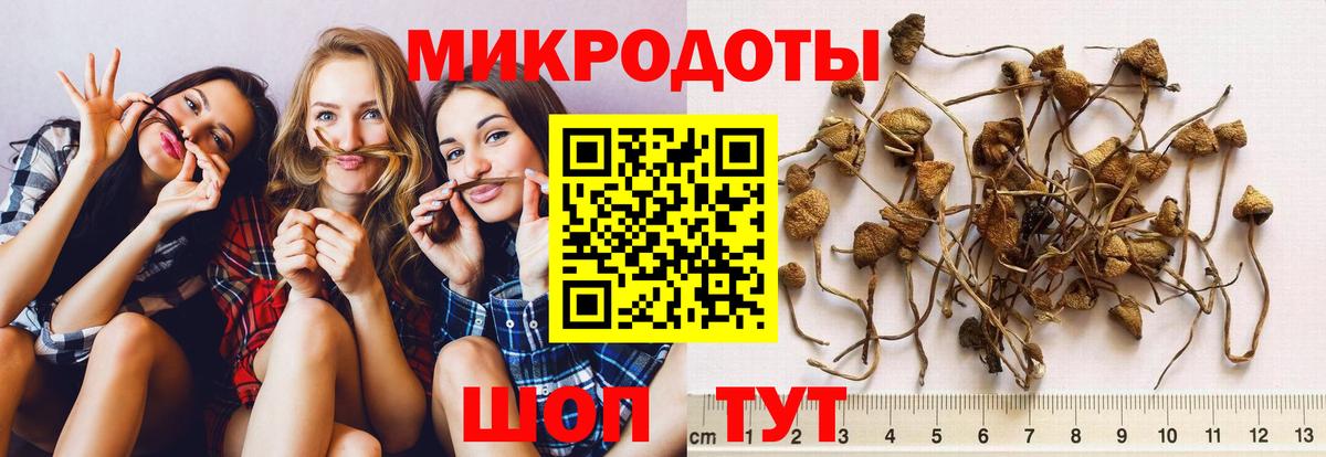 Псилоцибиновые грибы Magic Shrooms  Вход с VPN  Видное 